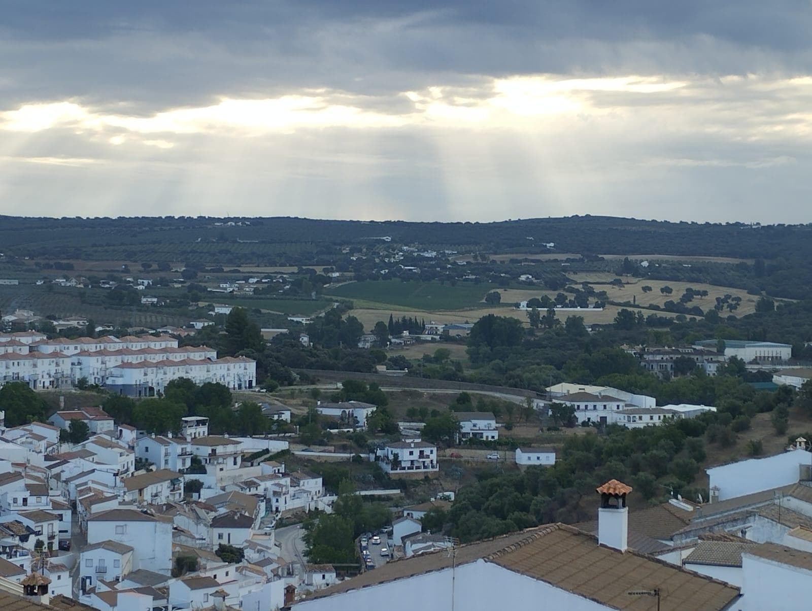 Imagen 66